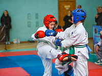  В Твери пройдет региональный турнир по тхэквондо (ВТФ)